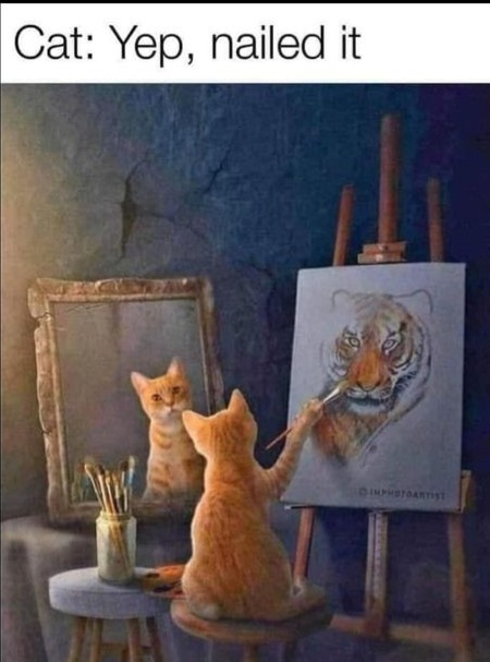 cat portrait.jpg